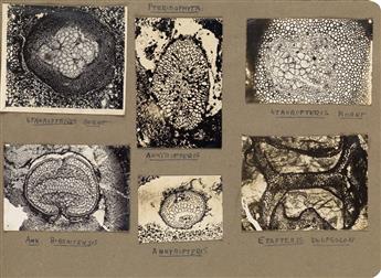 (PHOTO-MICROGRAPHS--PALAEO BOTANY) Album entitled Palaeo Botany containing approximately 121 abstract micro-photographs of plants and c